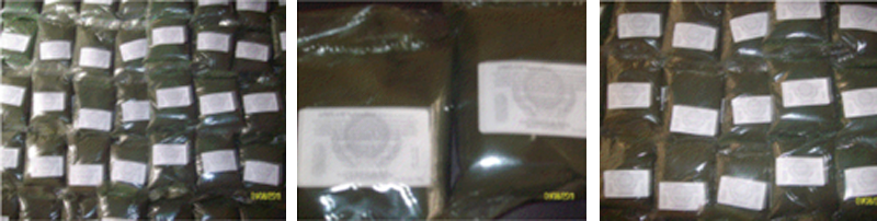 Photos of Spirulina