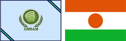 Flags of IIMSAM and Niger